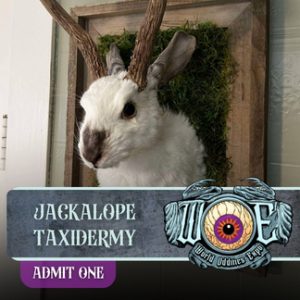 Ticket Add-on: Jackalope Taxidermy (Nashville)