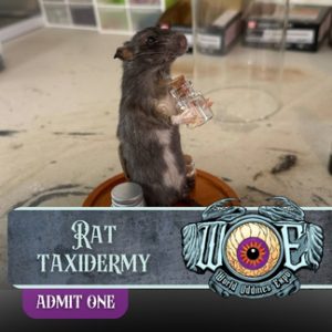 Ticket Add-on: Taxidermy Class - Full Body Rat Taxidermy (Nashville)