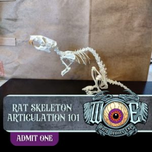Ticket Add-on: Rat Skeleton Articulation 101 (2 Ticket Bundle) (Austin)